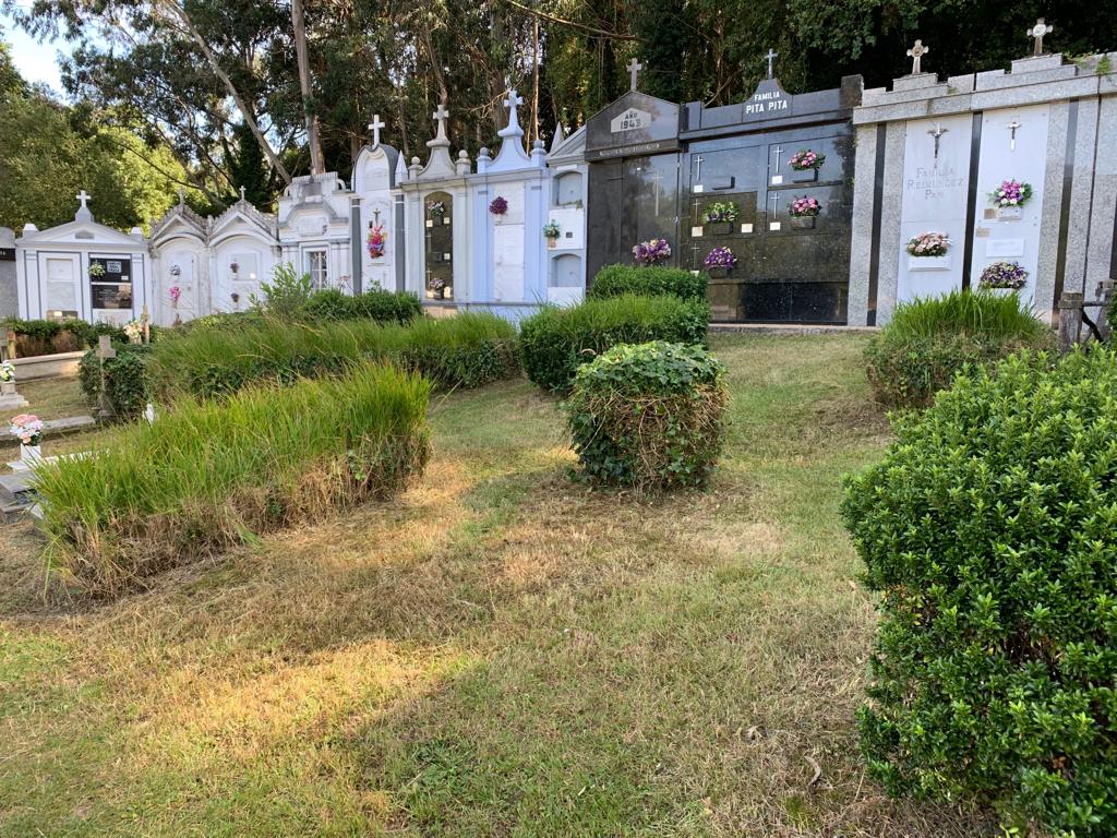 La limpieza del cementerio, una realidad